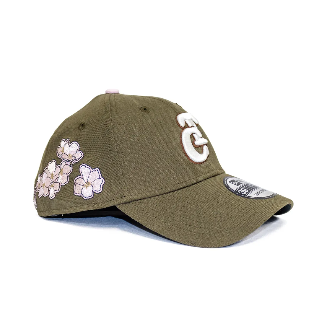 Gorra 3930 GC Octuber Day Floral TC 24