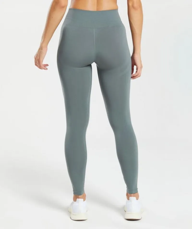 Leggins Gymshark Everyday Seamless Leggings Teal | 604875-ZFS