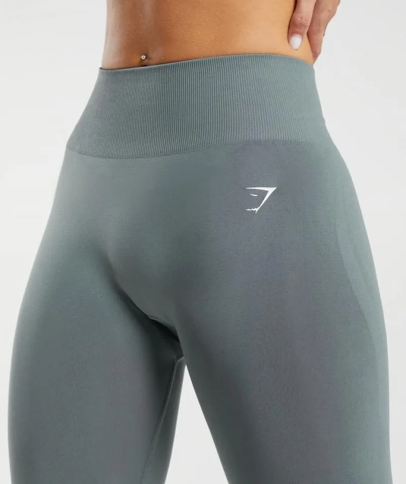 Leggins Gymshark Everyday Seamless Leggings Teal | 604875-ZFS